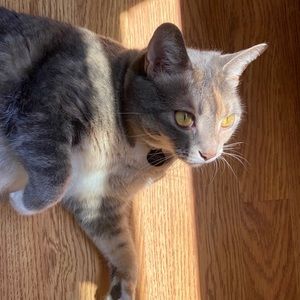 Open to ALL negotiations for prices!